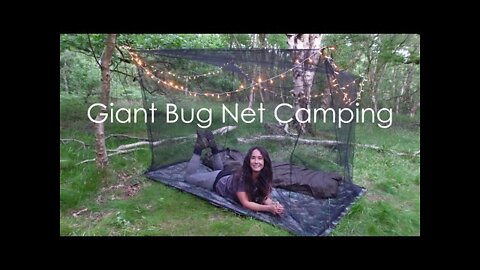 A Night in a Giant Bug Net + Breakfast with a Giant Bug | Wild Camping UK
