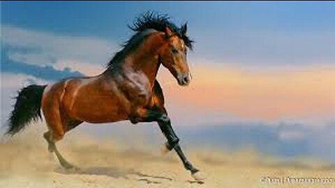 Top 10 Rare, Powerful & Beautiful Horses In Our Earth Planet