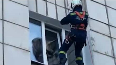 Un chat coincé dans l'encadrement d'une fenêtre sauvé par un pompier