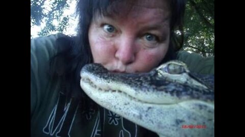 woman feeds alligator in hands