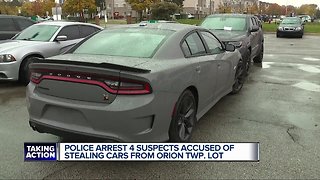 Warren police: 4 in custody after overnight car thefts