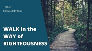 WALK in the WAY of RIGHTEOUSNESS - Biblical Affirmations #Shorts