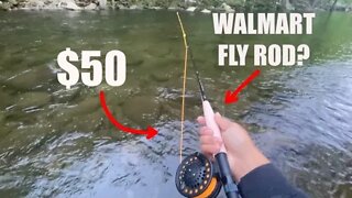 Walmarts CHEAPEST FLY ROD | Fly rod for $50???