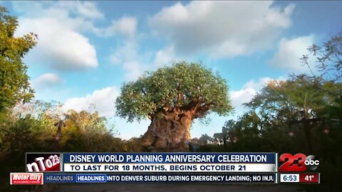 Disney World planning anniversary celebration