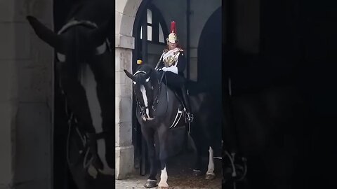 Tourist soon back off when horse is spooked #horseguardsparade