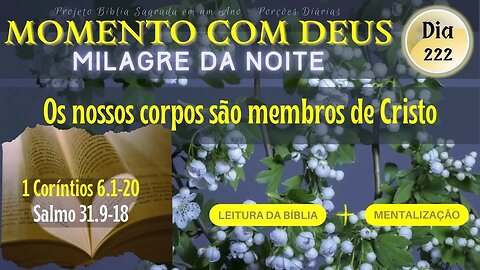 MOMENTO COM DEUS - MILAGRE DA NOITE - Dia 222/365 #biblia