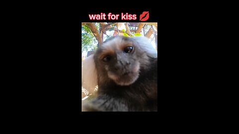 lolxfactory Wait for the kiss #memes #humor #relatablememes #darkhumor #lol #funny #savagememes