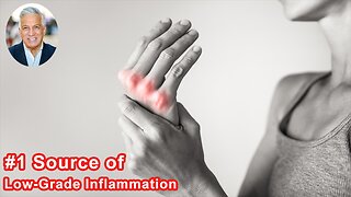 The Body's Number One Source Of Chronic Low-Grade Inflammation