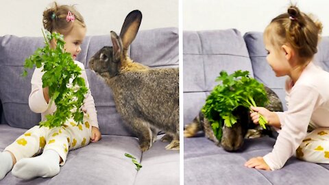 Cute Baby and Hungry Giant Rabbit [TRY NOT TO LAUGH]
