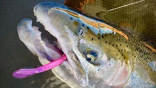 MUST Know Tactics For Becoming a BETTER Steelhead Angler!
