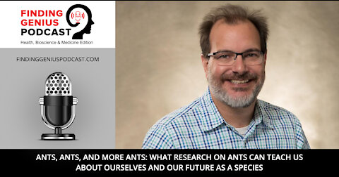 What Research on Ants can Teach us about Ourselves and our Future as a Species