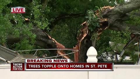 Tree falls onto homes in St. Petersburg