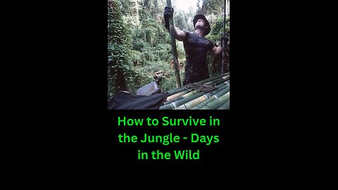 how to survive in the jungle - several days