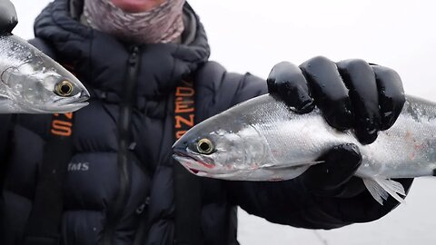 Winter KOKANEE Fishing Pre-Scouting Trip! | Addicted Life Ep. #23