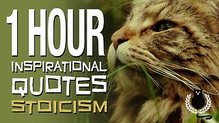 1 HOUR INSPIRATIONAL QUOTES | Virtue & Power | STOICISM