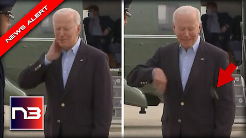 Biden’s Trip to Europe Gets off to Lousy Start - Watch him Get ATTACKED by Monster Cicada