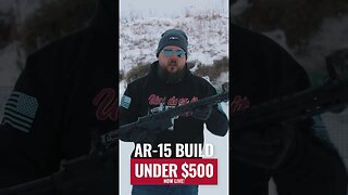 Did you miss it? (AR-15 Budget Build)