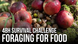 48h Survival Challenge: Foraging for Food