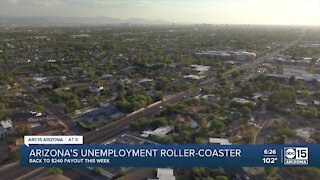 Arizona's unemployment rollercoaster