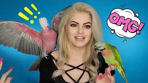 Explaining why I haven't posted... BUT my BIRD ATTACKS my face on World Parrot Day!😨VINNY SUBTITLES