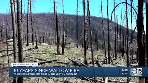 10 years after Wallow Fire, problems still remain in White Mountains