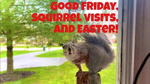 CINCINNATI DAD: Good Friday, Easter Weekend, And The Neighborhood Squirrel!