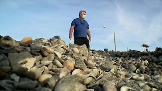 Beach renourishment project leaves shell pile in Jupiter