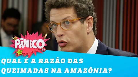 Salles: Maior número de queimadas se deve ao clima mais seco e restos de material orgânico