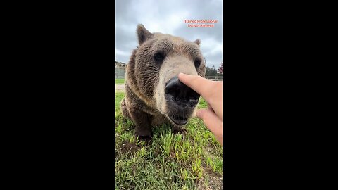 Playing with animals at the zoo part 4