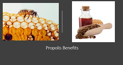 Propolis Benefits