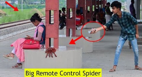 Fake Spider Attack Prank On Public | Big Remote Control Spider Vs Man Prank Video | Try To Not Laugh