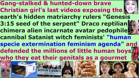 Part 4 Anti-feminist who was thrown out of Internet & hunted by pedophile cannibal Satanist witches
