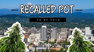 Oregon Cannabis Recall Due to Aspergillus Contamination! ☣️🌿