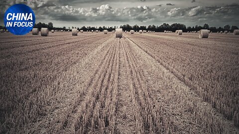 NTD Italia: Il PCC ruba agli USA (anche) la tecnologia agricola