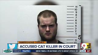 Police: Middletown man killed, froze nine cats and kittens