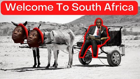 South Africa - A land of donkeys and communists.