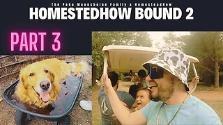 Homestead Bound 2 - Part 3 - A Wild Ride