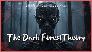 The Dark Forest Theory