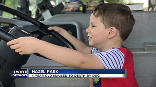 4-year-old mauled to death by dog in Hazel Park