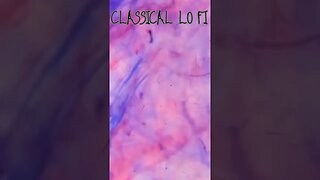 Classical Lo Fi Music - Subscribe For More #shorts #lofimusicforstudying #lofi