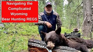 Navigating the Wyoming bear hunting regs