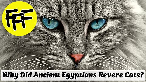 Why Did The Ancient Egyptians Revere Cats?