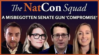 A Misbegotten Senate Gun 'Compromise' | The NatCon Squad | Episode 69