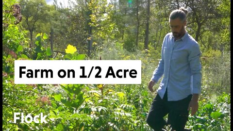 Tour 1/2 ACRE PERMACULTURE FARM with Edible Acres — Ep 013
