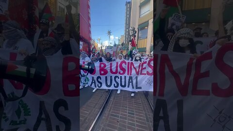 Palestine protest In Christmas center of Los Angeles