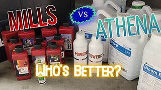 WHO WON Veg?! ATHENA vs MILLS Nutrients! Veg Day 21