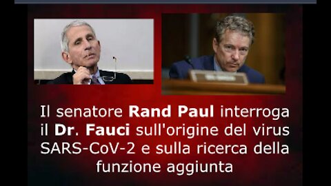 Il senatore Rand Paul interroga il Dr. Fauci