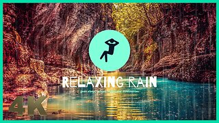 Rain in the forest - soothing sounds for 1 hour | light rain
