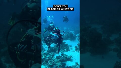 Amazing Dive in EGYPT #redsea #scubadiving #shorts #travelvideo