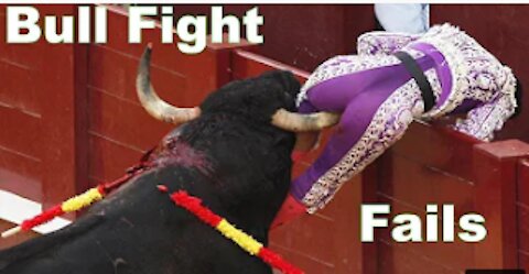 Best funny videos 2020 Most awesome bullfighting festival funny crazy bull faols..